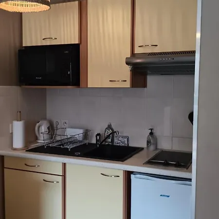 Ensoleille Au Bord De Avec Balcon Et Parking, Proche Centre Et - - Fr-1-535-51 דירה *