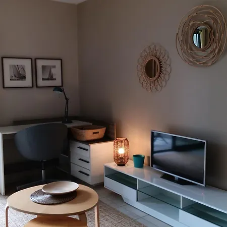 Appartement Ensoleille Au Bord De Avec Balcon Et Parking, Proche Centre Et - - Fr-1-535-51 *