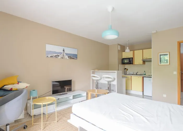 Ensoleille Au Bord De Avec Balcon Et Parking, Proche Centre Et - - Fr-1-535-51